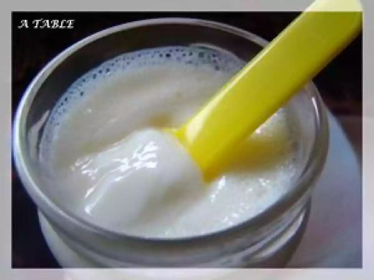 YAOURT MAISON AVEC 0% DE MATIERE GRASSE A L'AGAR-AGAR - photo 3