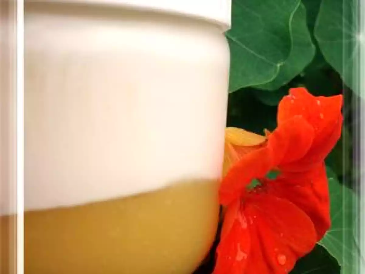 Yaourt maison vanillé sur lit de mangue