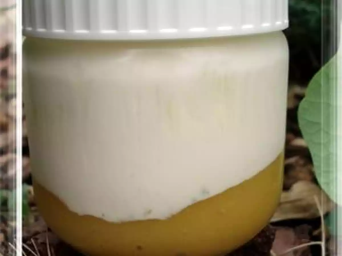 Yaourt maison vanillé sur lit de mangue - photo 2