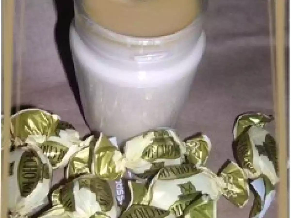 YAOURT MICHOKO CHOCOLAT BLANC - photo 2