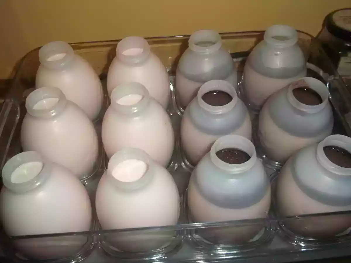 Yaourts à boire au chocolat ou à la rose - MultiDélices !!!!!