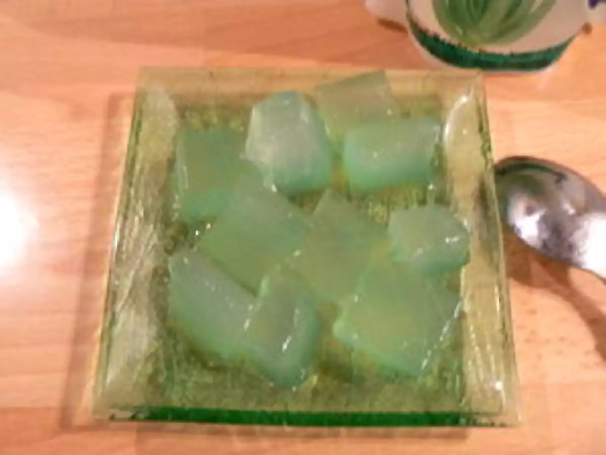 Yaourts à l'aloé vera - photo 2