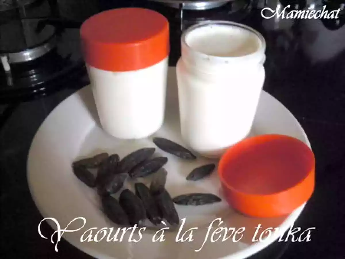 Yaourts à la féve tonka