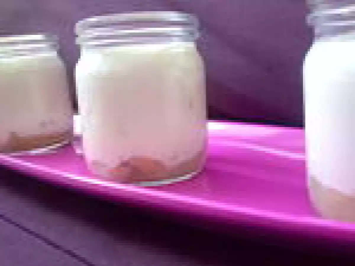 Yaourts à la vanille sur compote banane-poire - photo 3