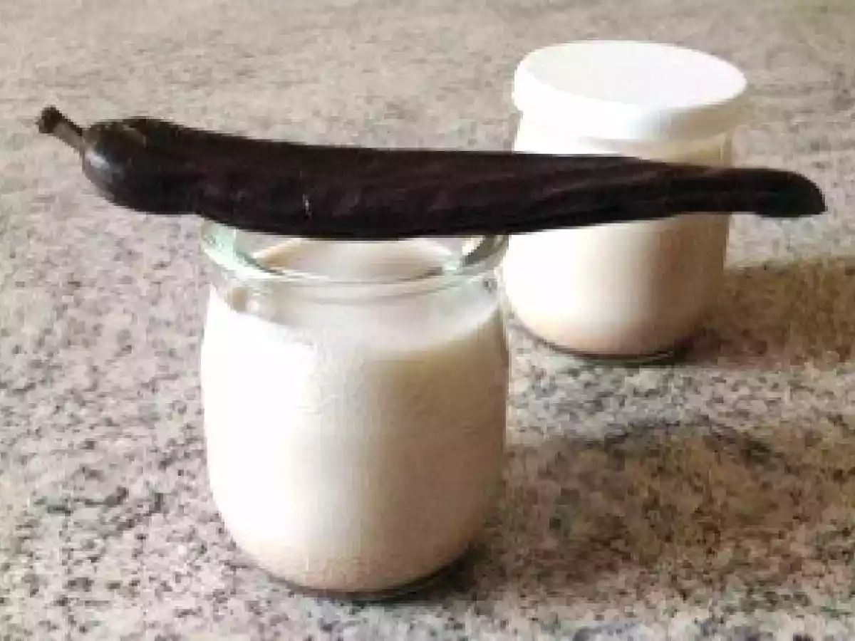 Yaourts au Cacao de Caroube