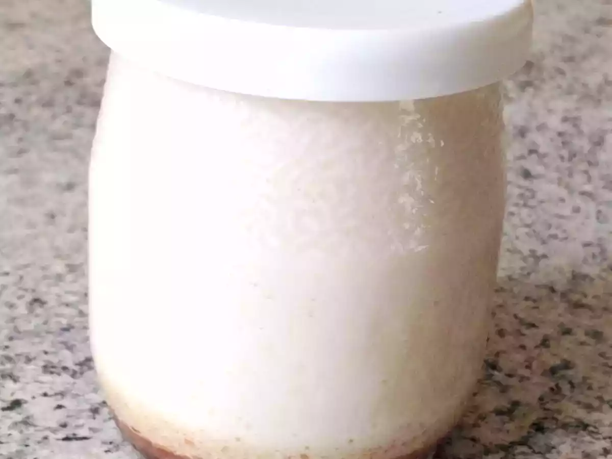 Yaourts au Cacao de Caroube - photo 3