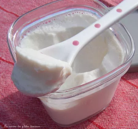 Yaourts au lait de soja et yaourtière multi délices de seb