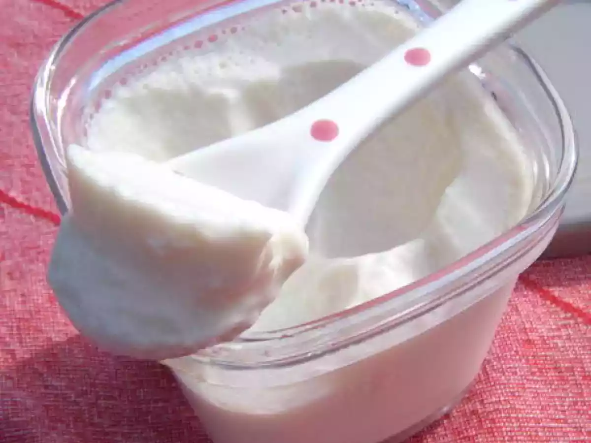 Yaourts au lait de soja et Yaourtière Multi délices de Seb !