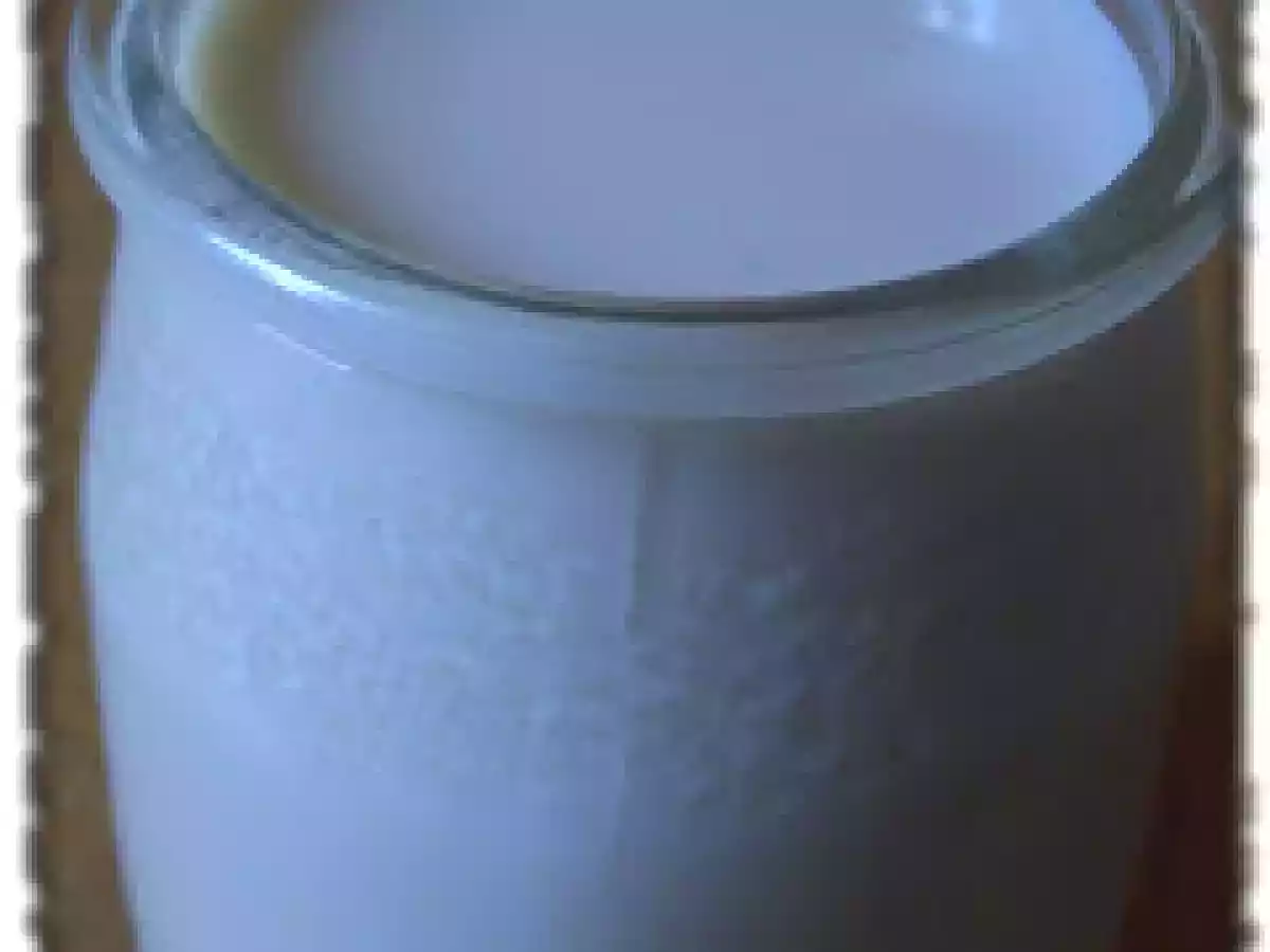 Yaourts au Lait de Soja Maison -et sans yaourtière s'il vous plaît!-