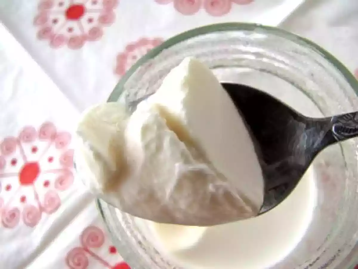 Yaourts au lait de vache sans lactose