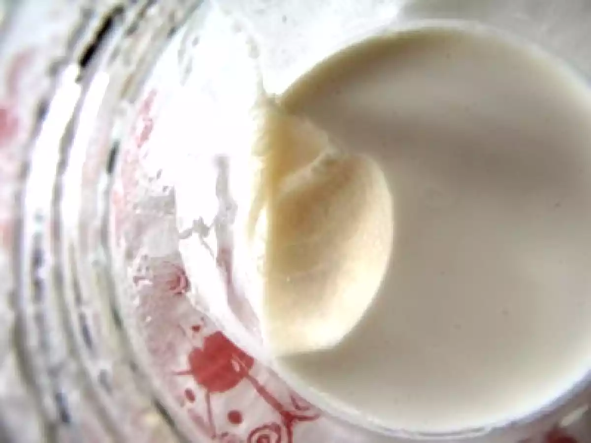 Yaourts au lait de vache sans lactose - photo 3