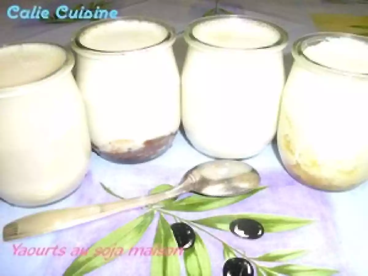 Yaourts au soja Maison !!!