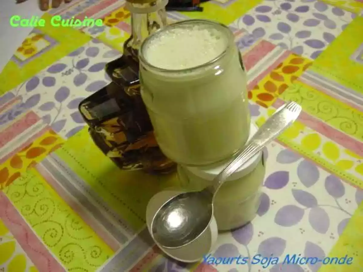 Yaourts au soja sans yaourtière