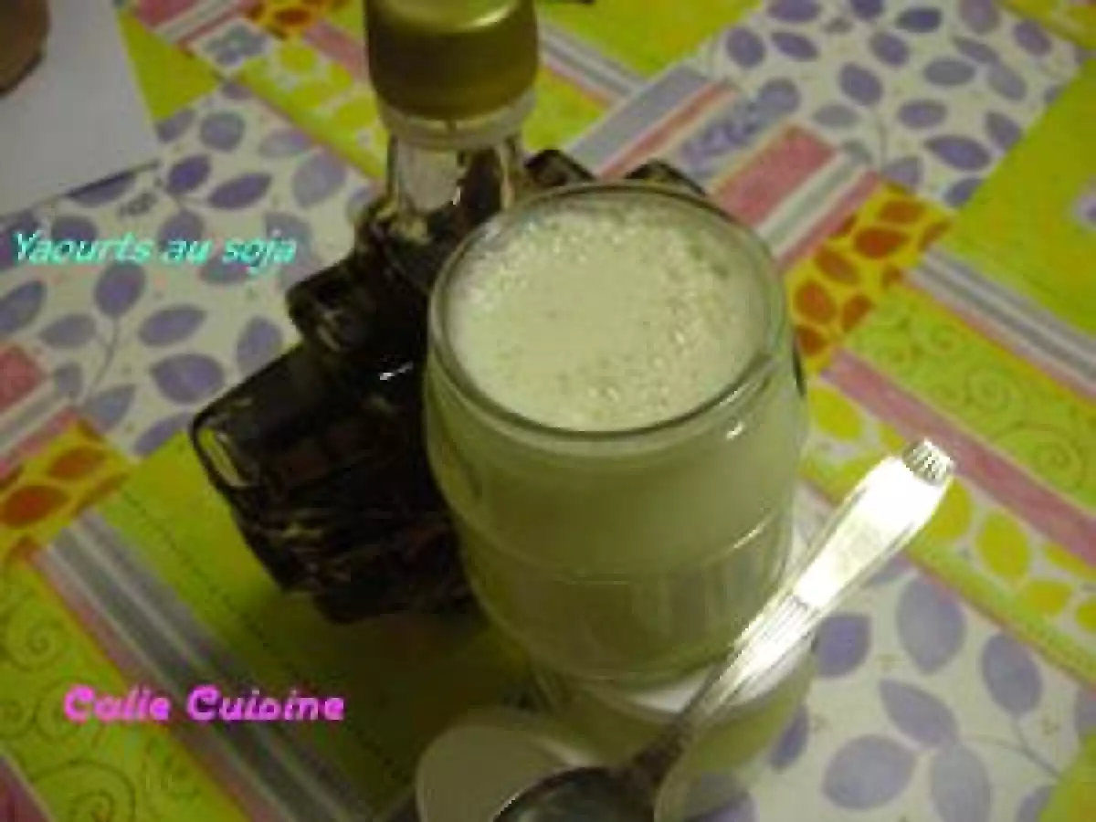 Yaourts au soja sans yaourtière - photo 2