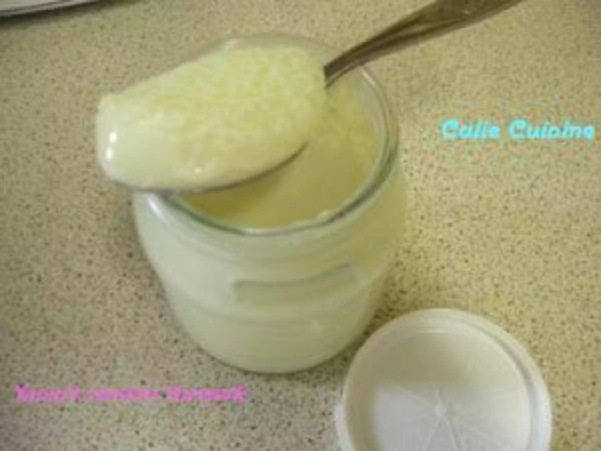 Yaourts au Thermomix version Vorwerk !