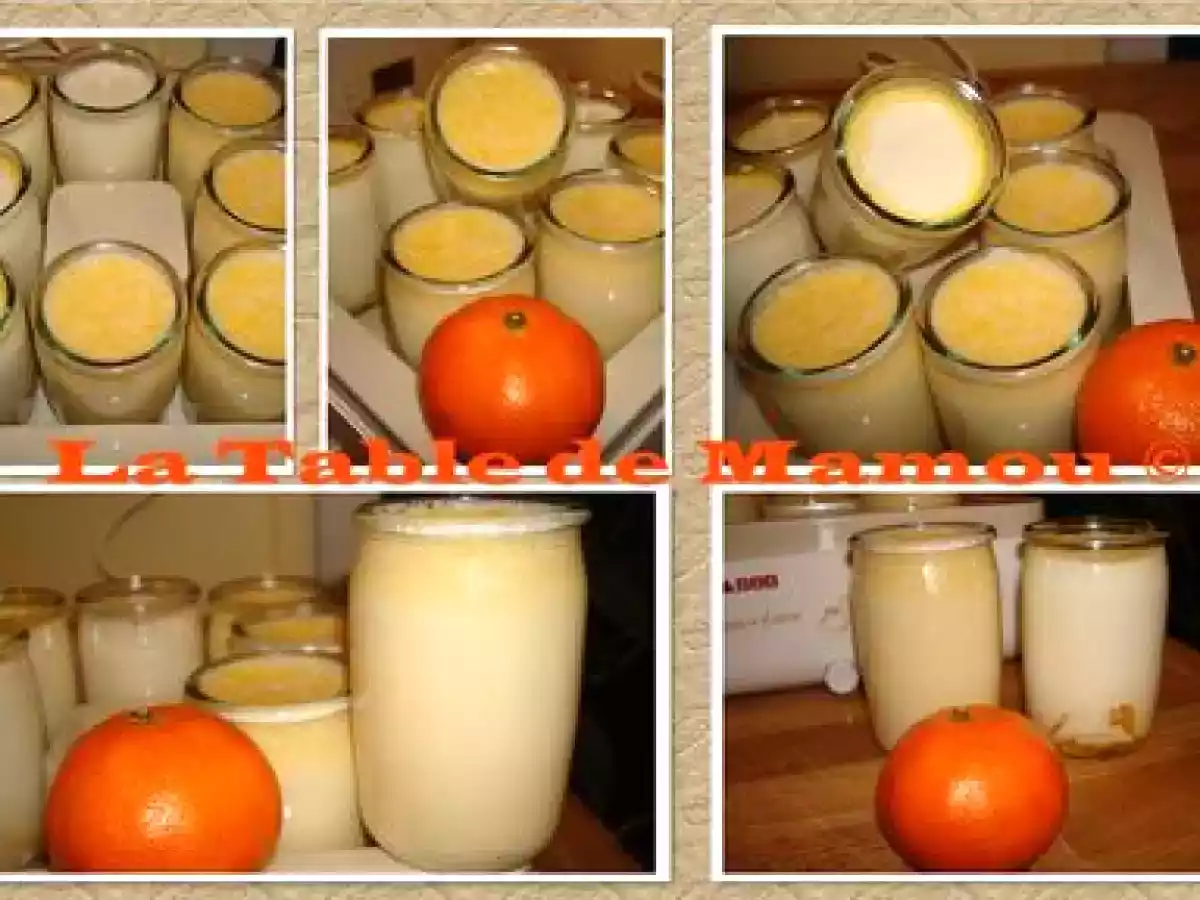 Yaourts aux clémentines et au miel de mandarinier