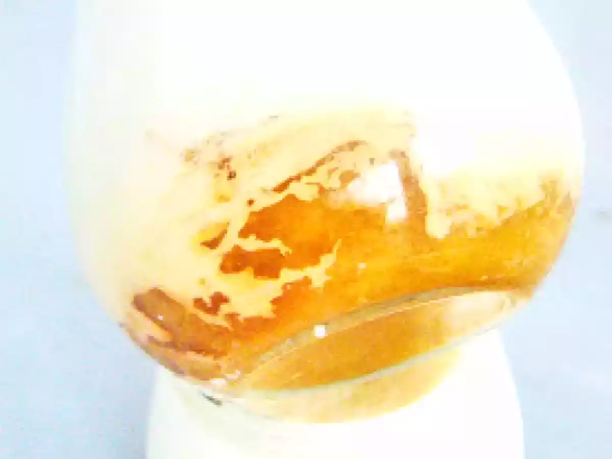 Yaourts aux pommes tatin et une nouveaute en matiere de yaourt maison