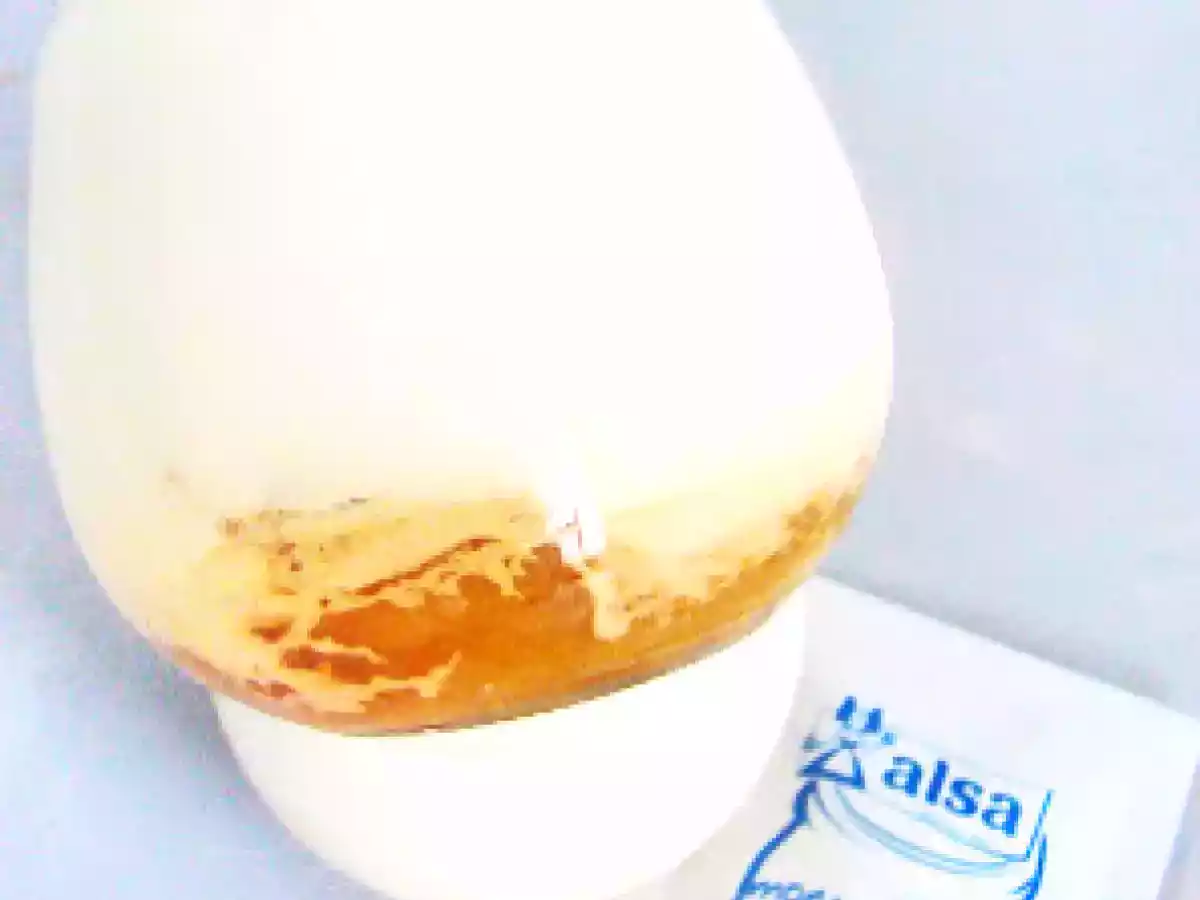 Yaourts aux pommes tatin et une nouveaute en matiere de yaourt maison - photo 2