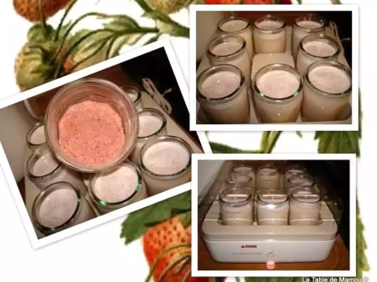 Yaourts fraise, framboise et groseille - photo 2