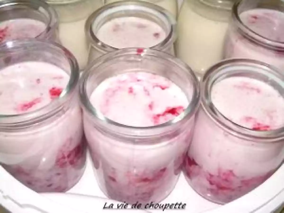 YAOURTS FRAMBOISES