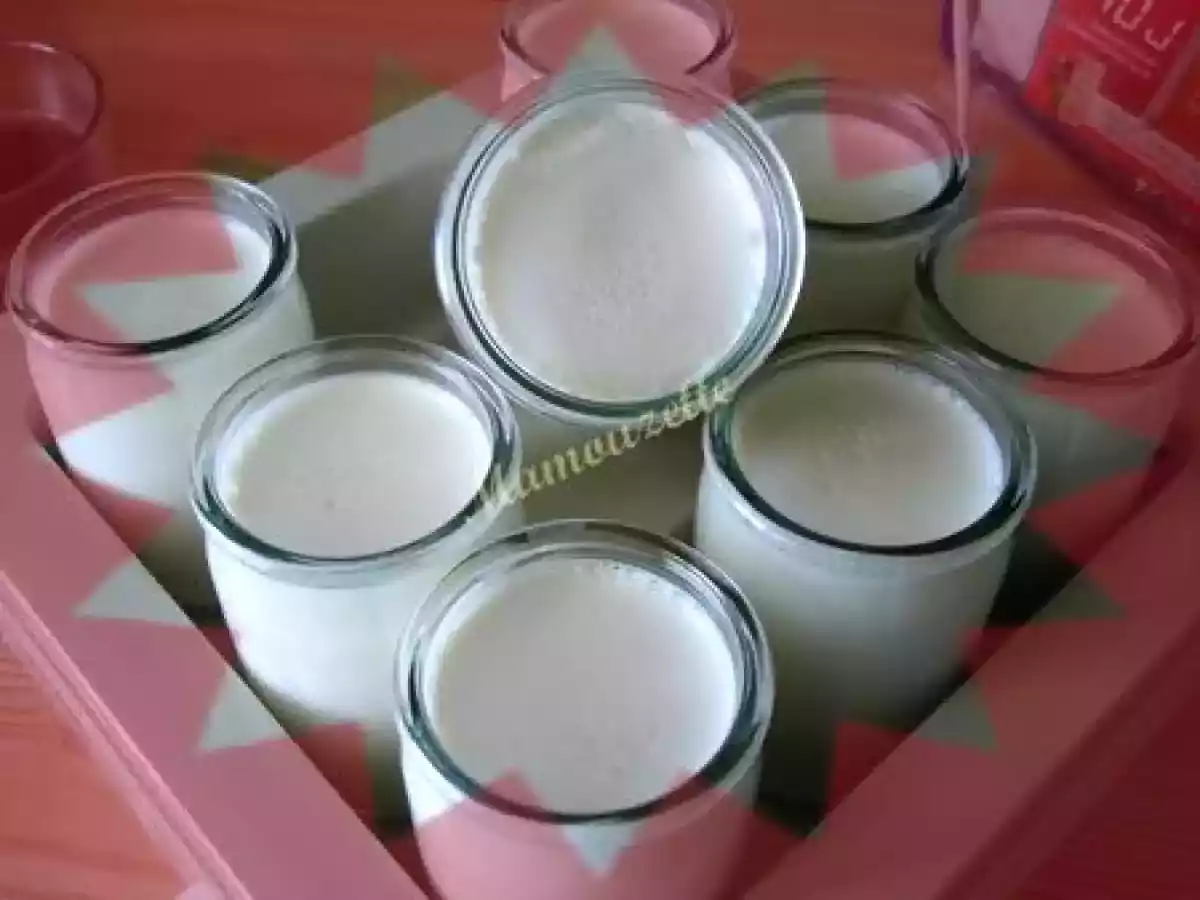 Yaourts maison - photo 2