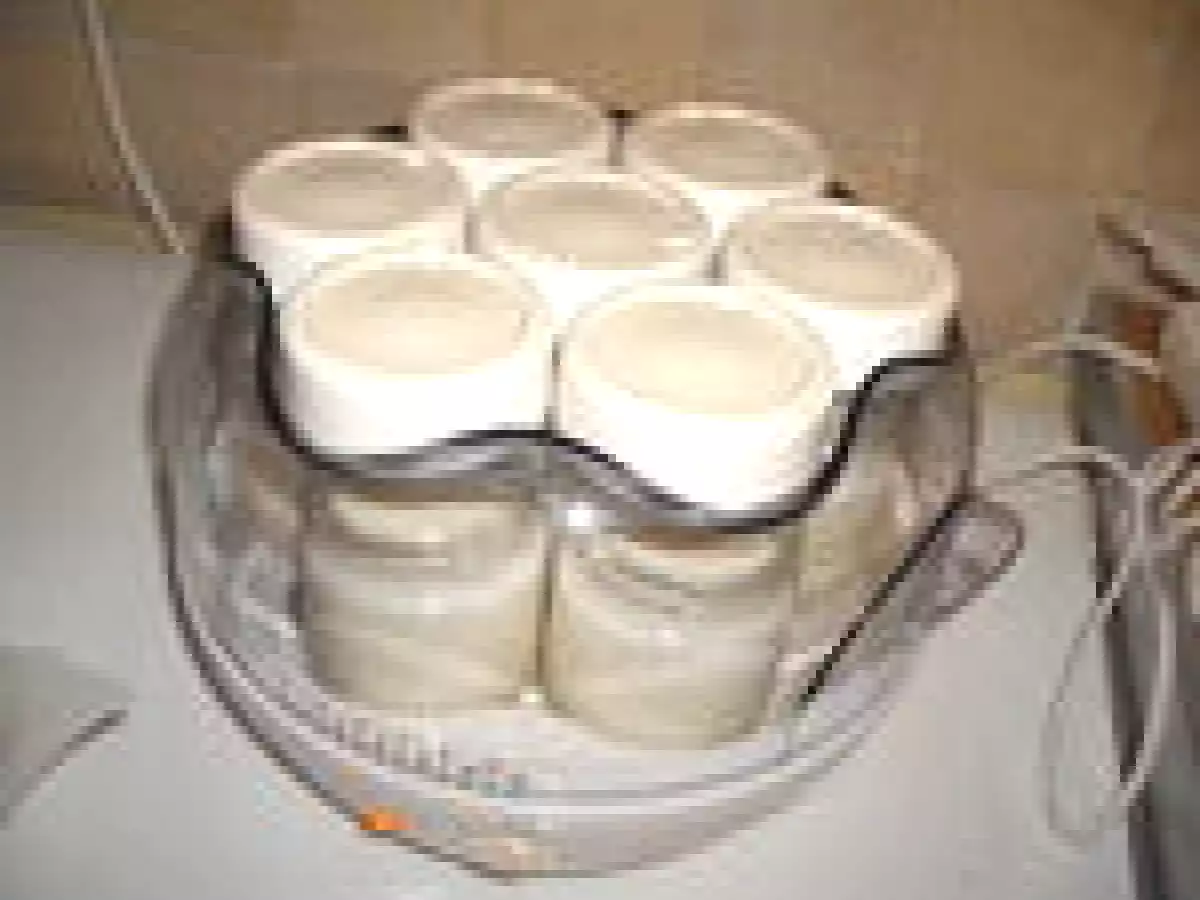 Yaourts maison