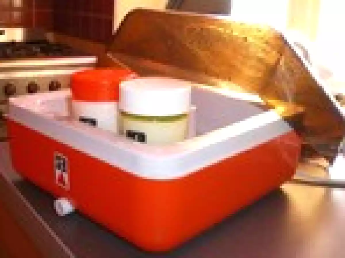 Yaourts maison recette facile