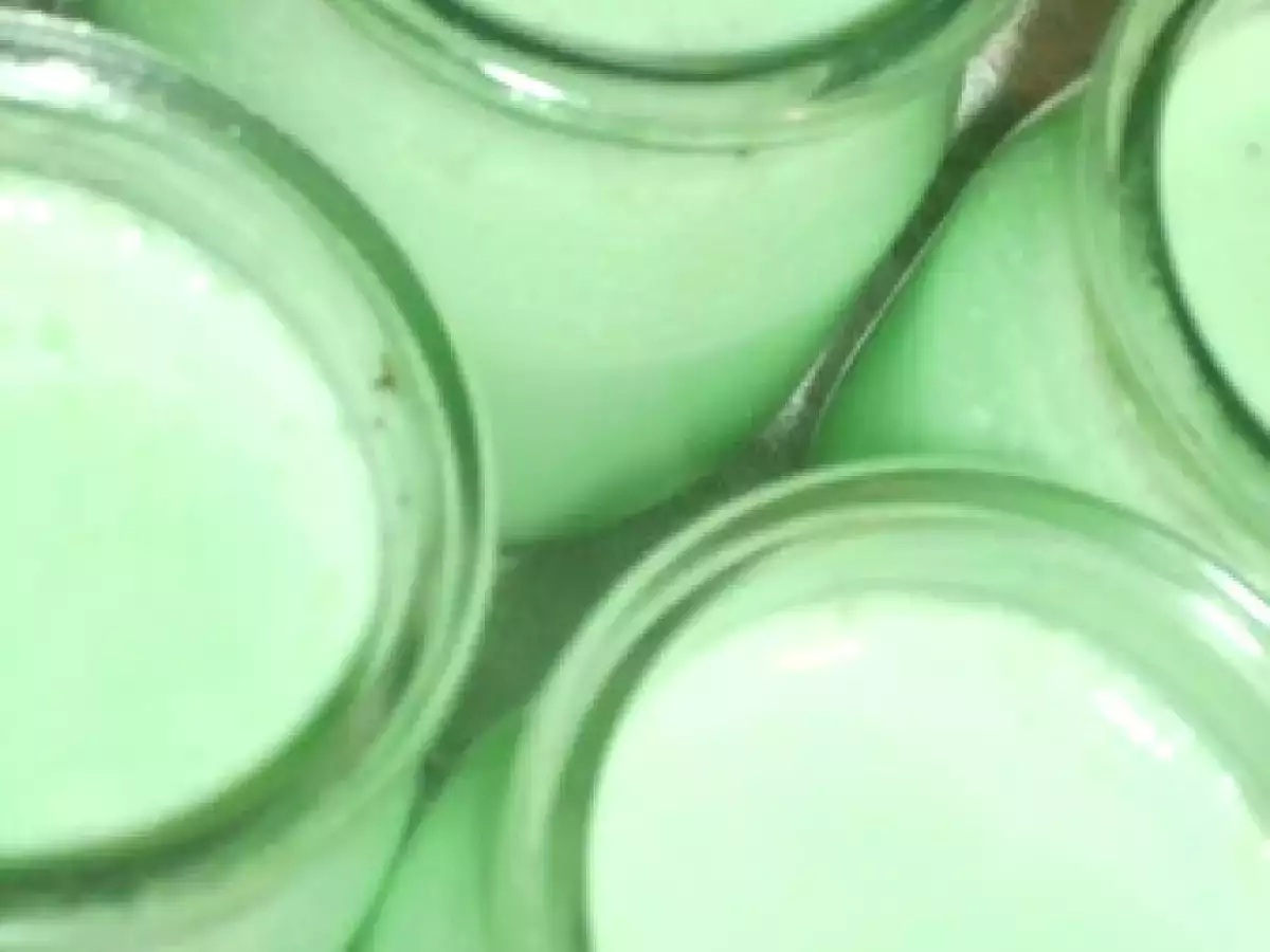 YAOURTS MENTHE CHOCOLAT - photo 2