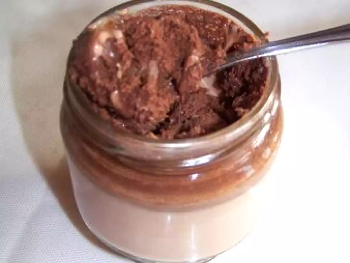 Yaourts mousseux au chocolat noir