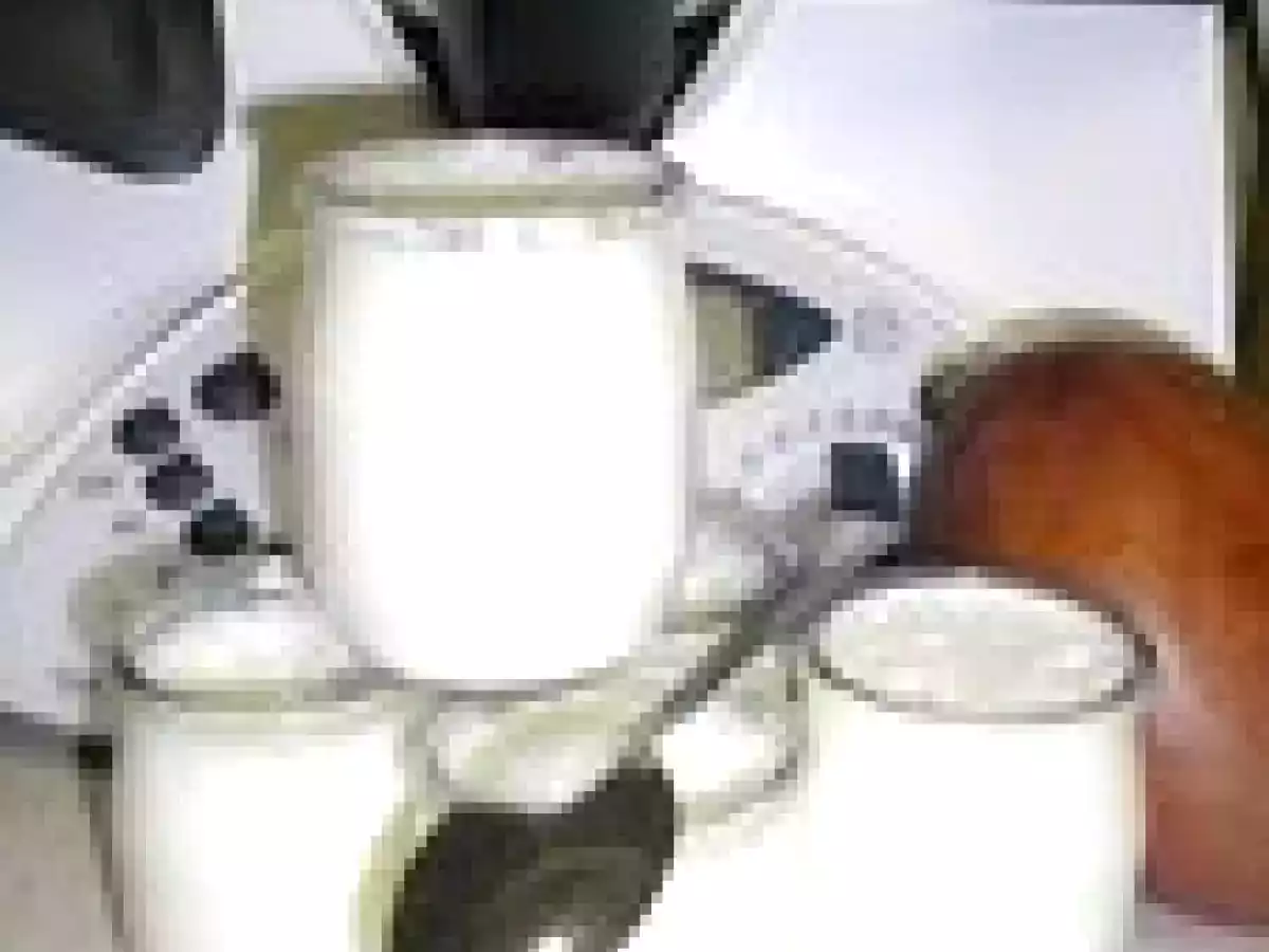 Yaourts Thermomix-Cocotte Plus durs que jamais !!