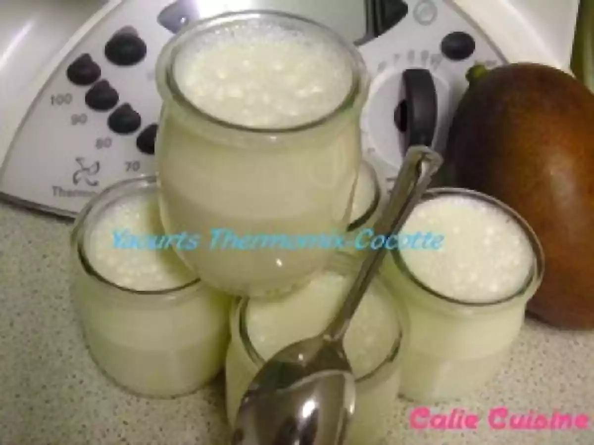 Yaourts Thermomix-Cocotte Plus durs que jamais !! - photo 2
