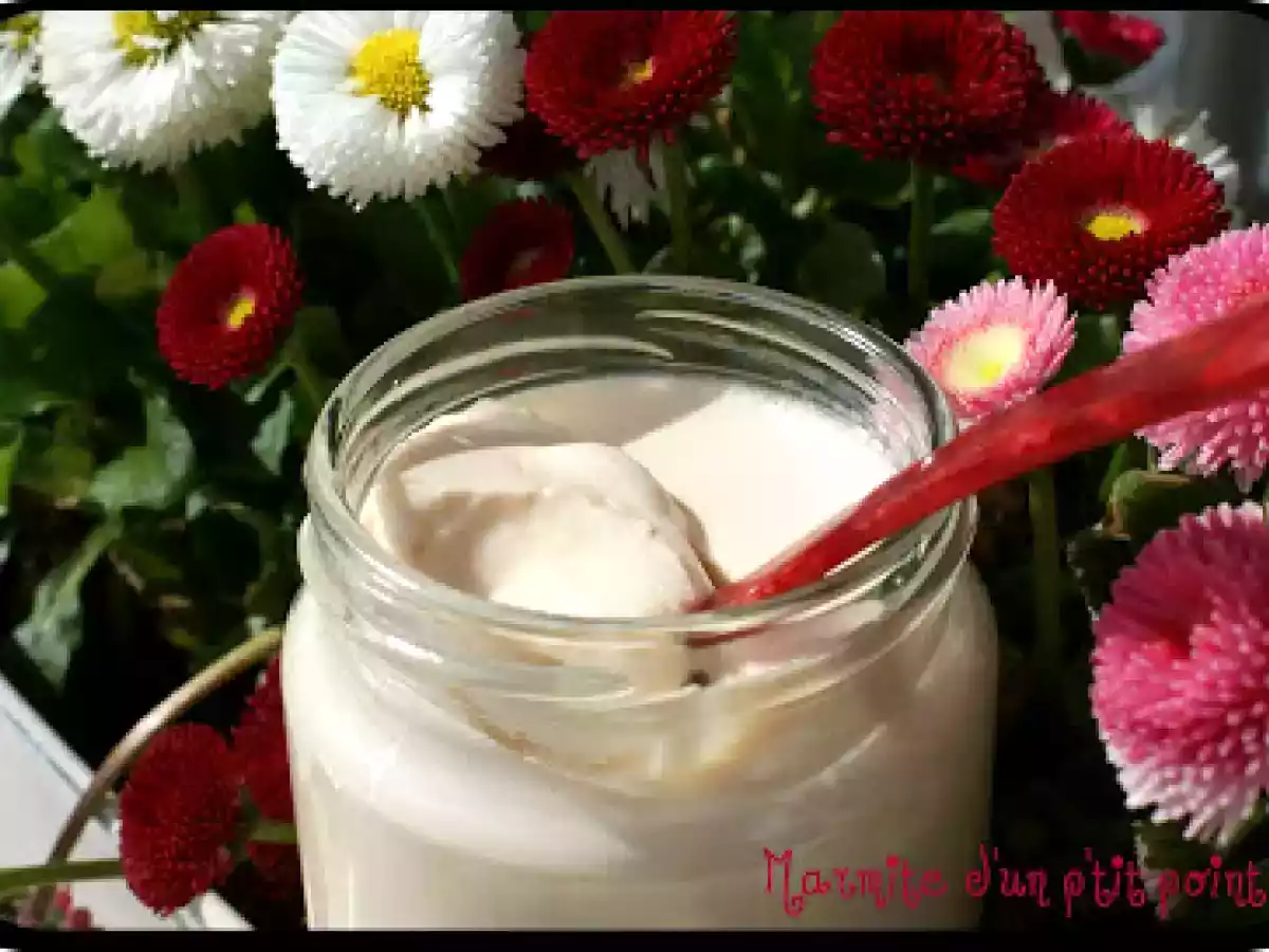 Yaourts vanille-pêche (ferments lactiques ALSA)