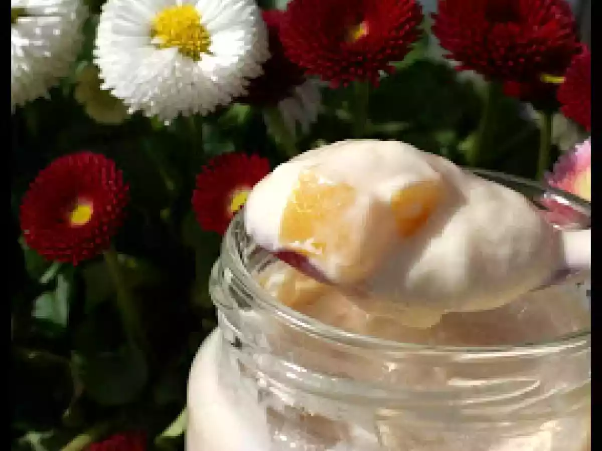 Yaourts vanille-pêche (ferments lactiques ALSA) - photo 2