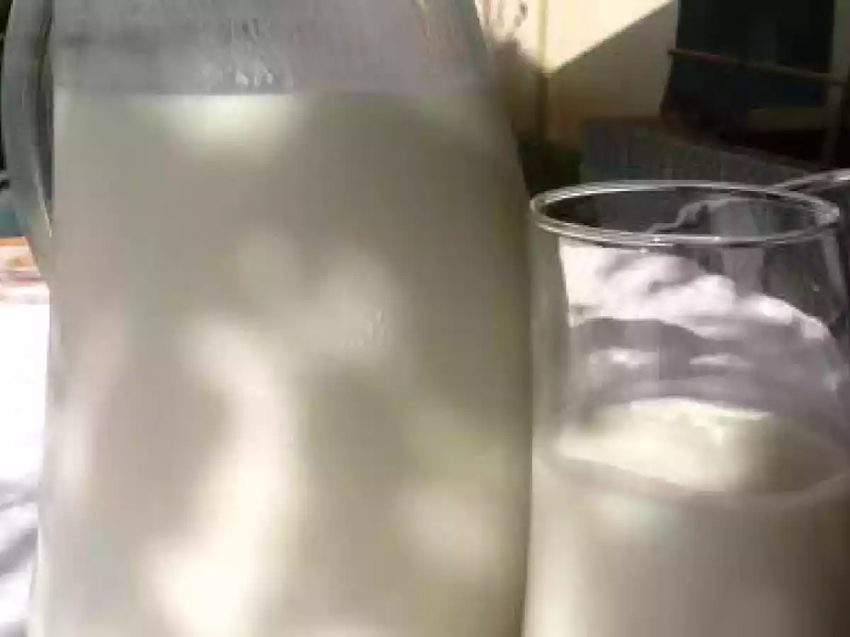 YOP MAISON A LA VANILLE.