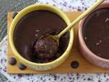 Chocolat à tous les étages : fondants, brownies, mousses et douceurs maison