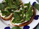 Asperges : recettes faciles, idées gourmandes et conseils de saison